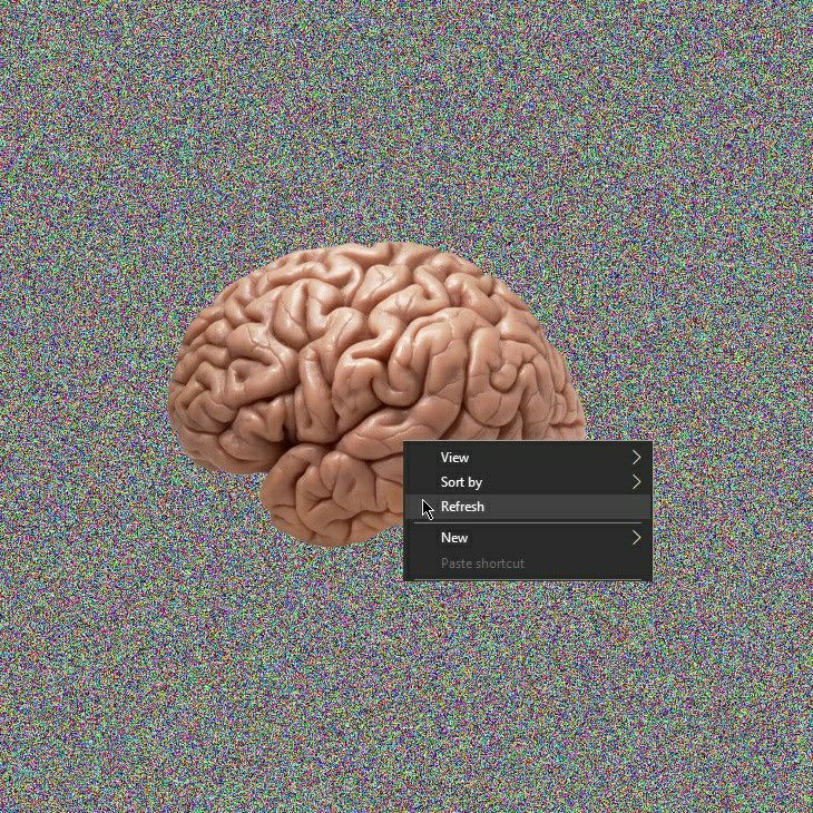cerebro con opción para refresh