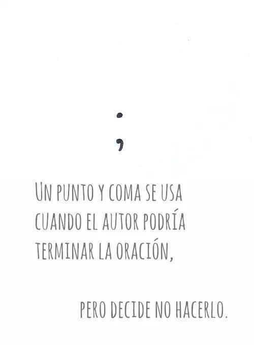 punto y coma
